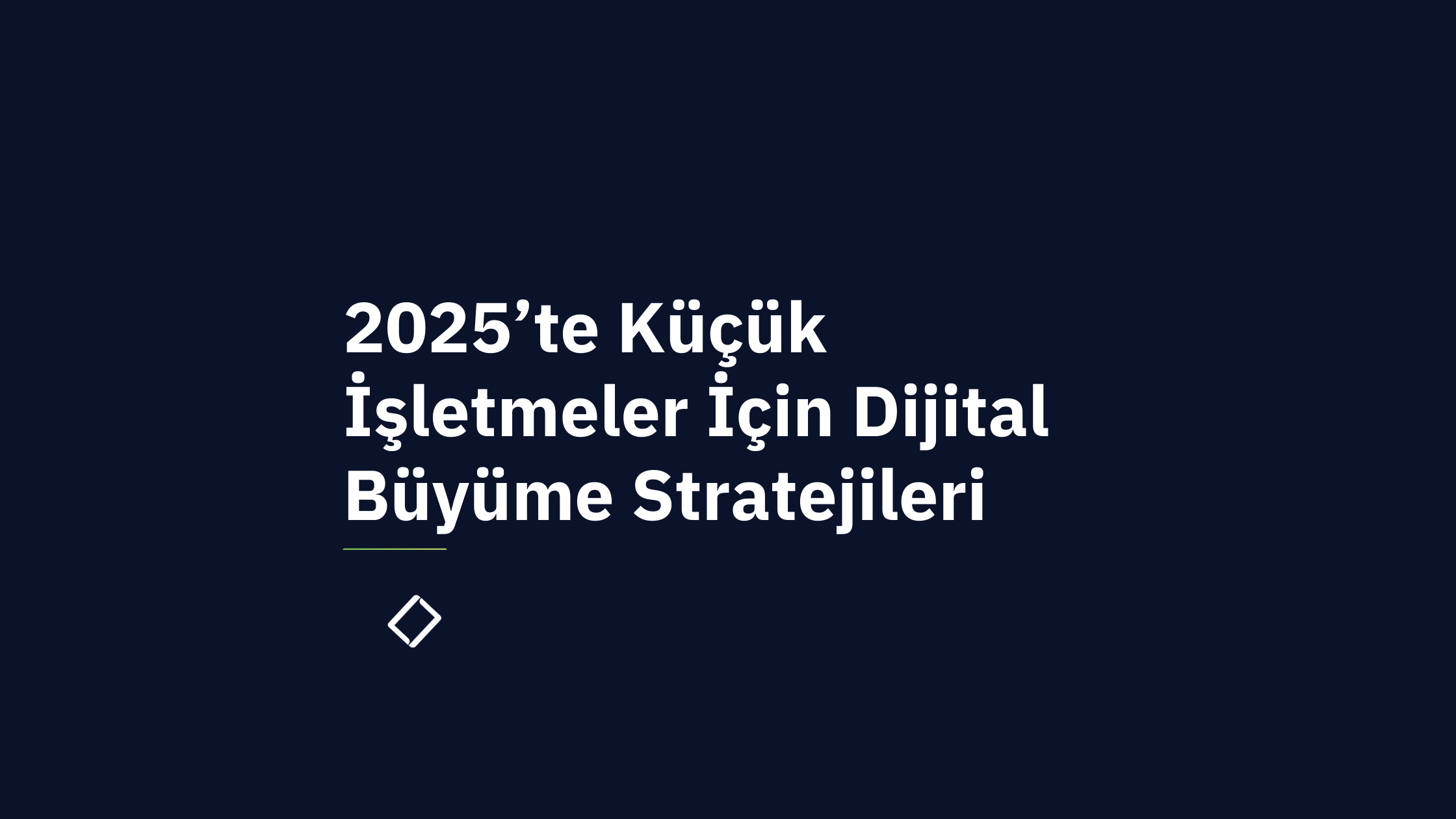 2025’te Küçük İşletmelerin Büyüme Stratejileri: Dijitalde Öne Çıkmanın 7 Yolu ve Başarı İpuçları - Lume Blog
